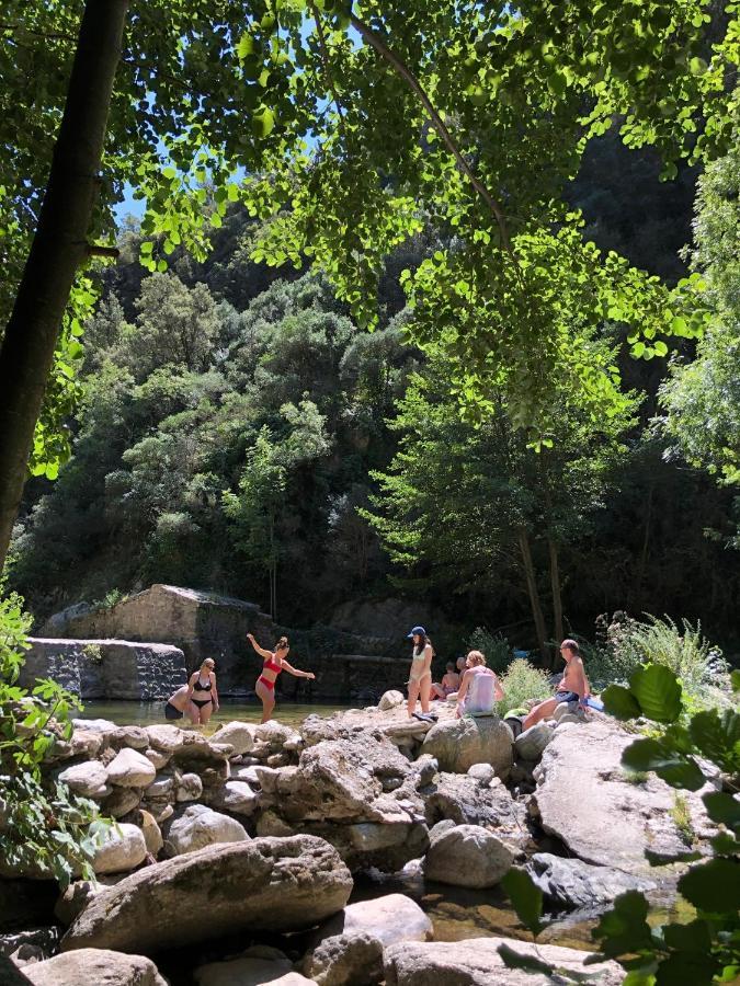 Villa Bonheur Vallespir 세렛 외부 사진