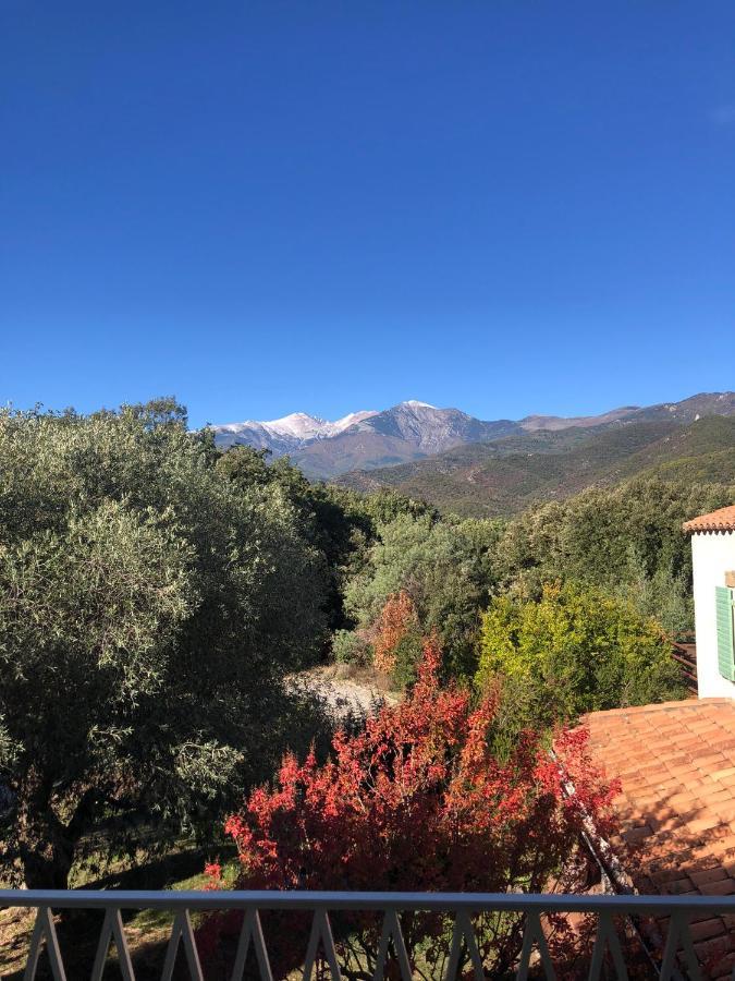 Villa Bonheur Vallespir 세렛 외부 사진